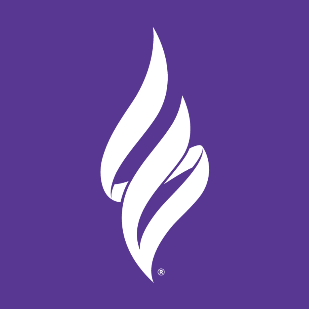 2025 Chattanooga Walk for Epilepsy - logo